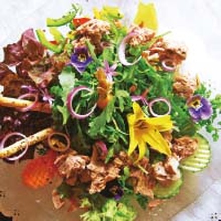 Wildkräuter auf Teller von Breiers Wildkräuter auf Teller von Breiers