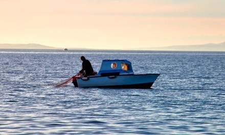 Einsamer Fischer Einsamer Fischer