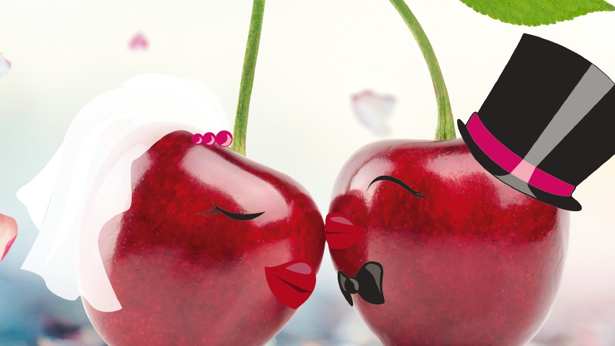 Foto: iStockPhoto Die Kirsche im Exklusiv Interview