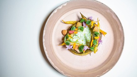 Schön angerichteter Teller Schön angerichteter Teller