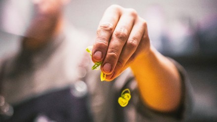 Koch dekoriert essen Koch dekoriert essen