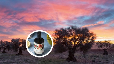 Dämmerung Dämmerung