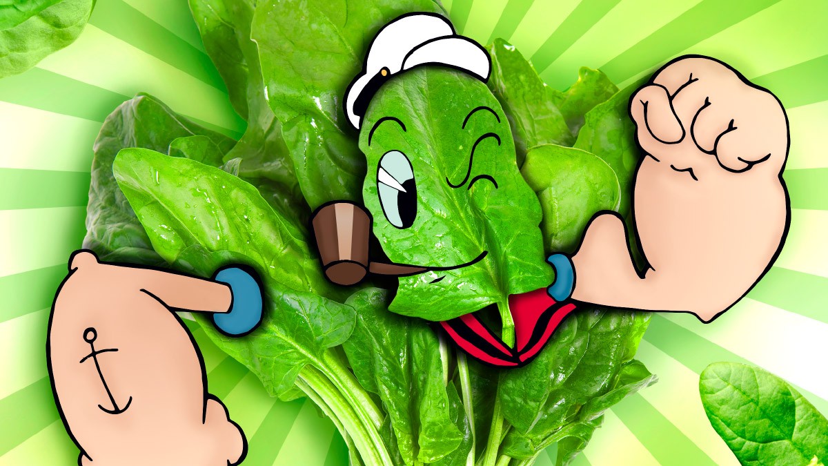 Fotos: iStockphoto
Der Spinat im Exklusiv-Interview