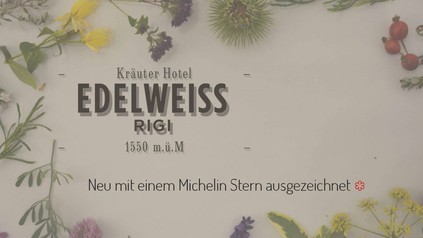 Screenshot Website Kräuter Hotel Edelweiss