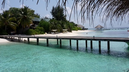 Steg und Palmenstrand auf den Malediven