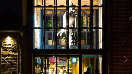 In der Pizzeria Etica in Adelaide, Australien, hängt eine tote Kuh von der Decke. (Foto: © Etica/facebook.com)