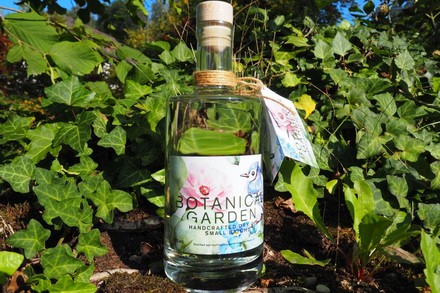 Botanica Garden Getränk in Beet