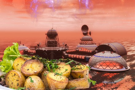 Eine Mars-Kolonie und ein Teller gebratener Kartoffeln