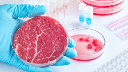 Ein Stück fleisch in einem Labor