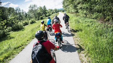 Gruppe von Radfahrern auf einem Radweg
