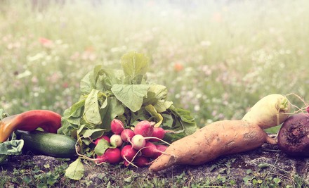 Gemüse auf einer Wiese
