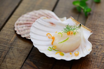 Jakobsmuschel vom Symbol zur Delikatesse