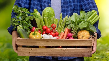 Bauer mit frisch gepflückter Gemüse-Kiste