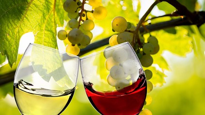 Weingläser in einem Weinberg