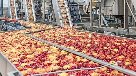 Methode „Check Food Waste“