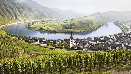 Weinberge an der Moselschleife