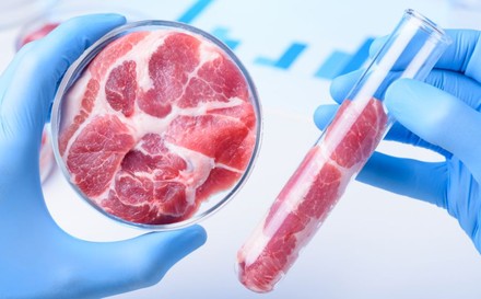 Fleisch in Reagenzglas und Petrischale