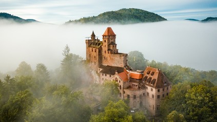 Der Pfälzerwald