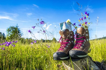 Ein Paar Wanderschuhe in einer Blumenwiese in denen Blumen und eine Wanderkarte stecken