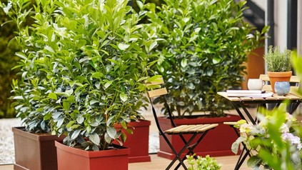 Gartentisch und Stühle