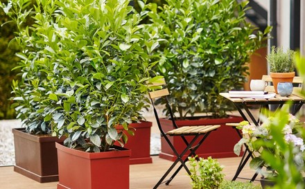 Gartentisch und Stühle