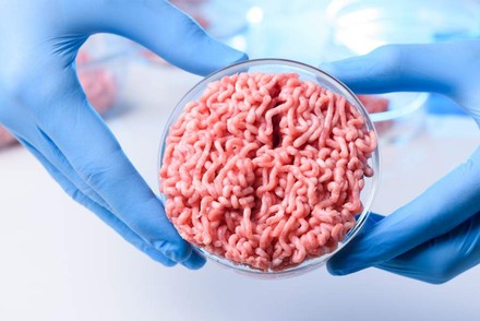 Eine Person hält eine Petri-Schale mit Hackfleisch