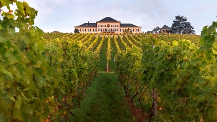 Weingut Schloss Johannisberg