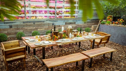 Durch die Hydrokultur-Farm können Gästen frische Produkte direkt auf den Tisch serviert werden. (Foto: © Jumeirah Group)
Arcadias