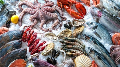 Diverse Meeresfrüchte und Fische auf Eis