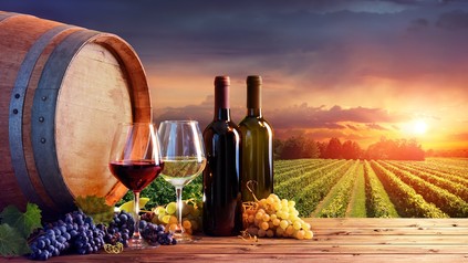 Wein in einem Weinberg