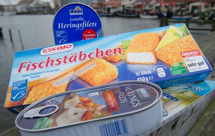 Verschiedene Verpackungen von zubereitetem Fisch mit MSC Siegel