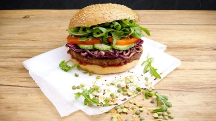 Rosenburger 2.0