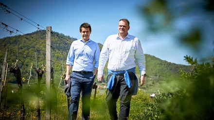 Weingutsleiter und Master of Wine Roman Horvath sowie Kellermeister Heinz Frischengruber im Weingarten