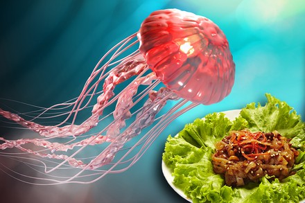 Eine schwimmende Qualle und ein Quallensalat