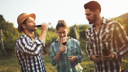 Besucher in einem Weinberg