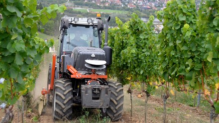 Ein Schlepper im Weinberg