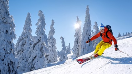Ein Skifahrer