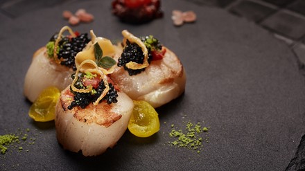 Sterneküche auf dem Teller