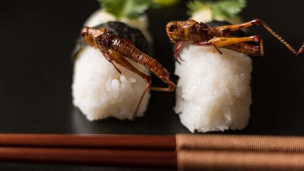 Sushi mit Heuschrecke