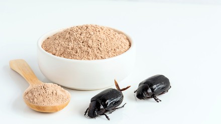 Novel Foods, wie Mehl aus dem Getreideschimmelkäfer, wurden jetzt von der Europäischen Kommission zugelassen. (Foto: © nicemyphoto)
Getreideschimmelkäfer