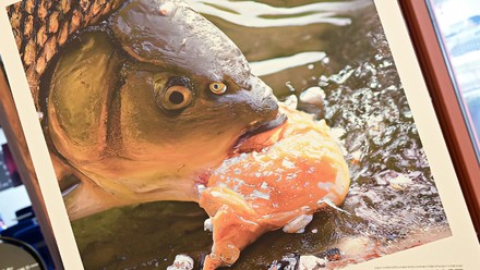 Theresa Patsch überzeugte mit diesem Bild