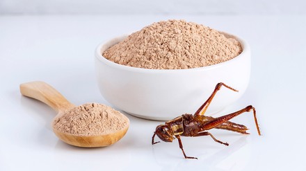 Seit dem 24. Januar 2023 sind die Hausgrille und der Getreideschimmelkäfer für den menschlichen Verzehr zugelassen. (Foto: © nicemyphoto/stock.adobe.com)
Mehl aus Insekten
