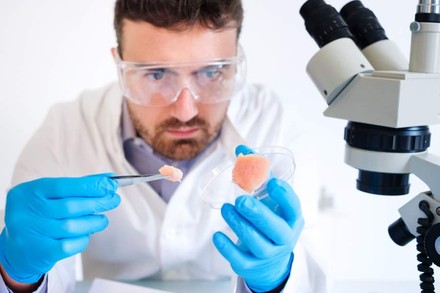 Ein Labormitarbeiter untersucht eine Probe Fleisch