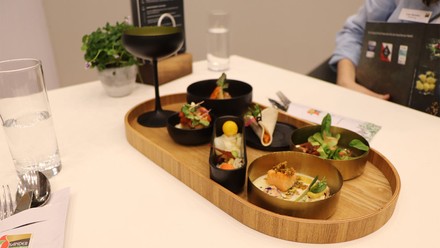 Neuheiten von Sander/Service-Bund