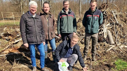 Anlässlich ihres 40-jährigen Jubiläums unterstützen die Flair Hotels im Revier Wesertal des Forstamts Reinhardshagen das Aufforstungsprojekt „Unser Wald“ von HessenForst. (Foto: © Flair Hotels e.V. – Peter Reuner) Flair Hotels pflanzen Bäume