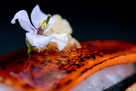 Nigiri mit Shiso und frischem Wasabi