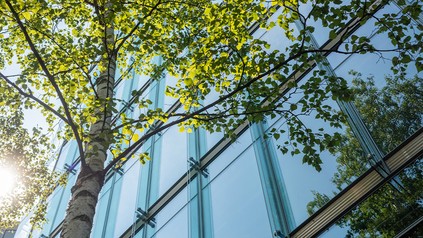 Ein Baum vor einem Gebäude
