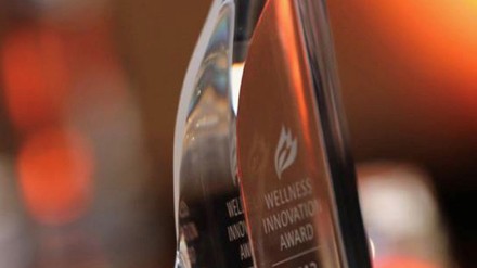 Die Wellness & Spa Innovation Awards werden am 15. Oktober 2023 verliehen. (Foto: © Deutscher Wellness Verband) Wellness & Spa Innovation Awards