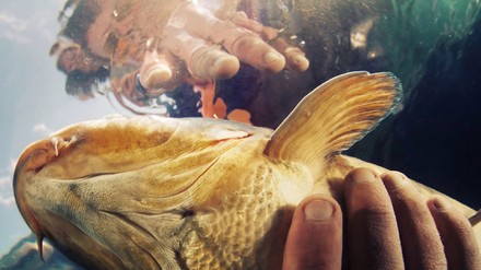 Eurest bezieht als größter „Fischaktionär“ mehr als 8.000 Saiblinge und Goldforellen aus Crowdfarming-Projekt. (Foto: © Eurest) Fisch