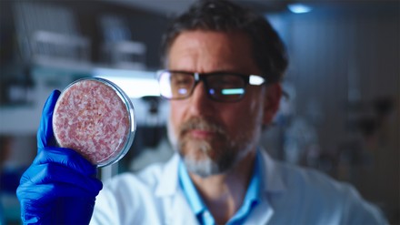 Die USA erlauben den Verkauf von Laborfleisch. (Foto: © Framestock/stock.adobe.com) Laborfleisch